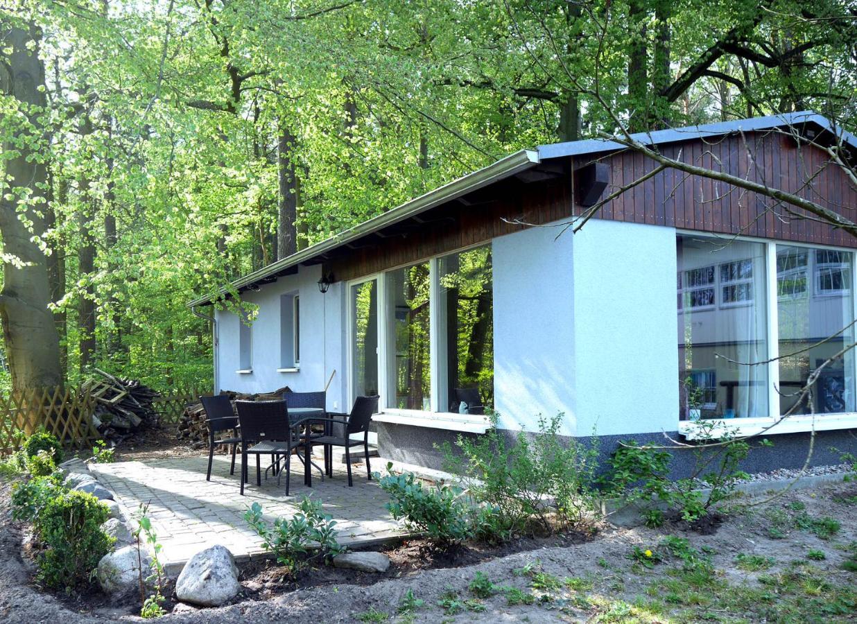 Waldschenke Stendenitz Uebernachten Im Wald Am See Apartman Neuruppin Kültér fotó